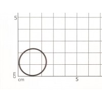 O-Ring 22x1 FPM 80