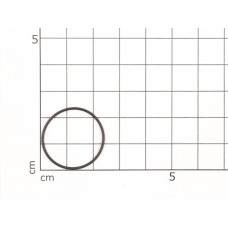 O-Ring 22x1 FPM 80