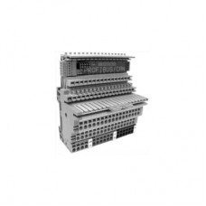 Analog output (basic module)