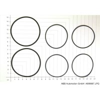 Purge- Flange O-Ring Kit