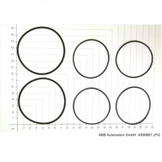 Purge- Flange O-Ring Kit